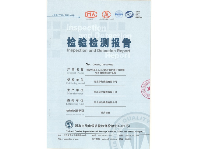 滄州市統(tǒng)計(jì)工作規(guī)范化建設(shè)推進(jìn)會(huì)在華倫公司順利召開!