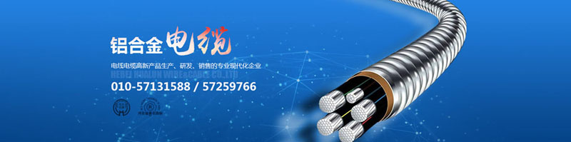滄州市統計工作規范化建設推進會在華倫公司順利召開！